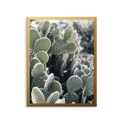 cali-cactus-art-print_photography-art-print