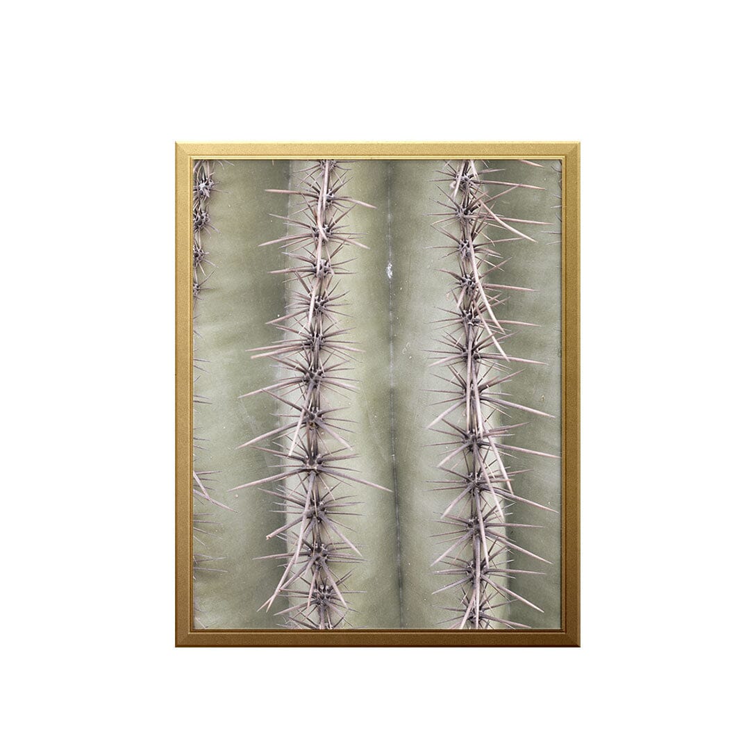 saguaro-spines-art-print_photography-art-print