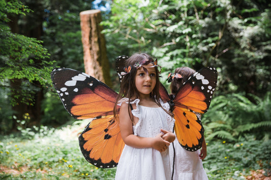 Fairy Wings DIY