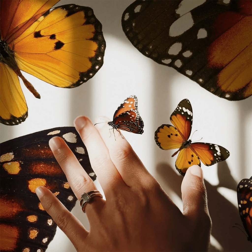 Butterflies are Trending This Year, Here's How To Style A Stunning Space