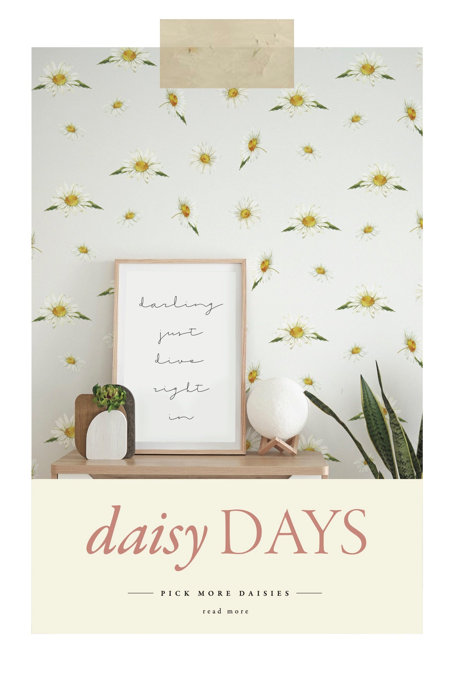 DAISY DAYS