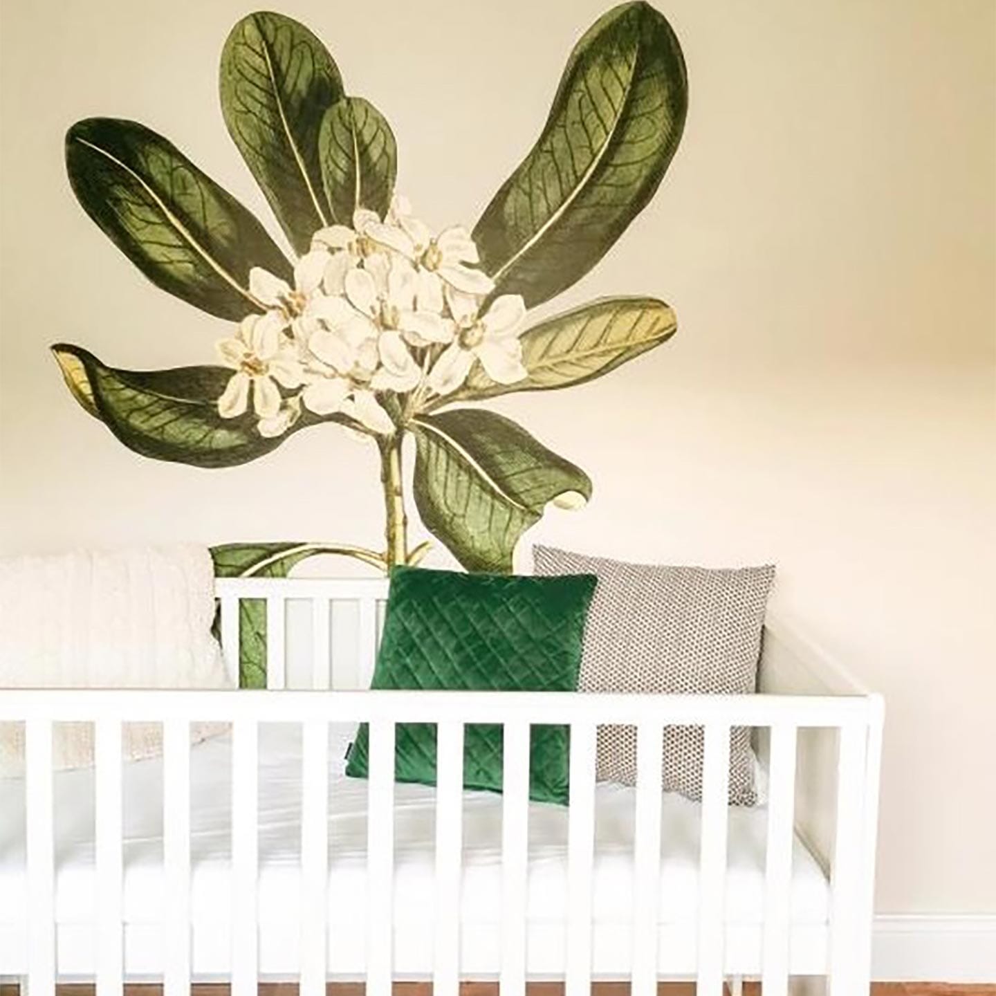 Glossy Leaved Pittosporum Wall Decal