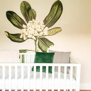 Glossy Leaved Pittosporum Wall Decal