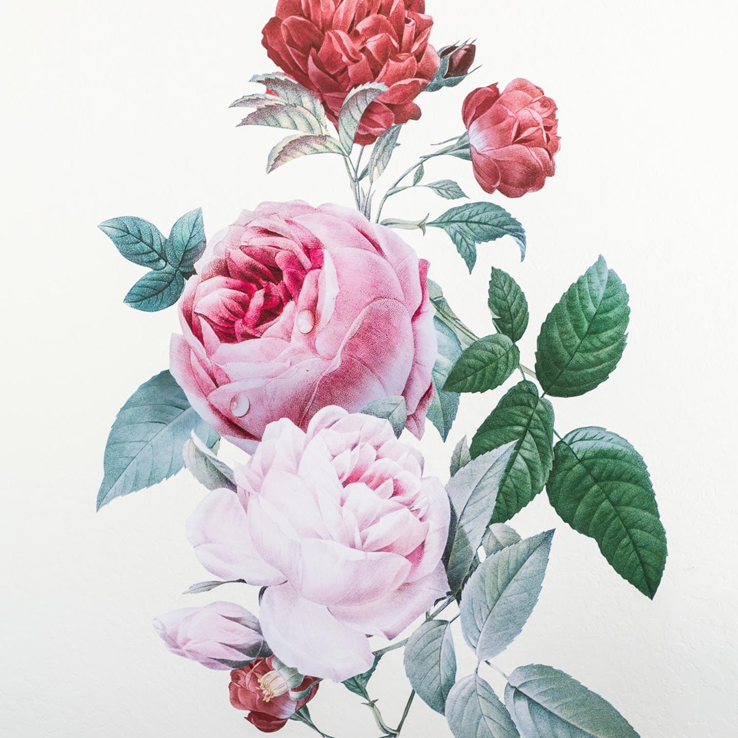 Blush Rose Floral Wall Decal