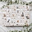 Farm Animal Wallpaper