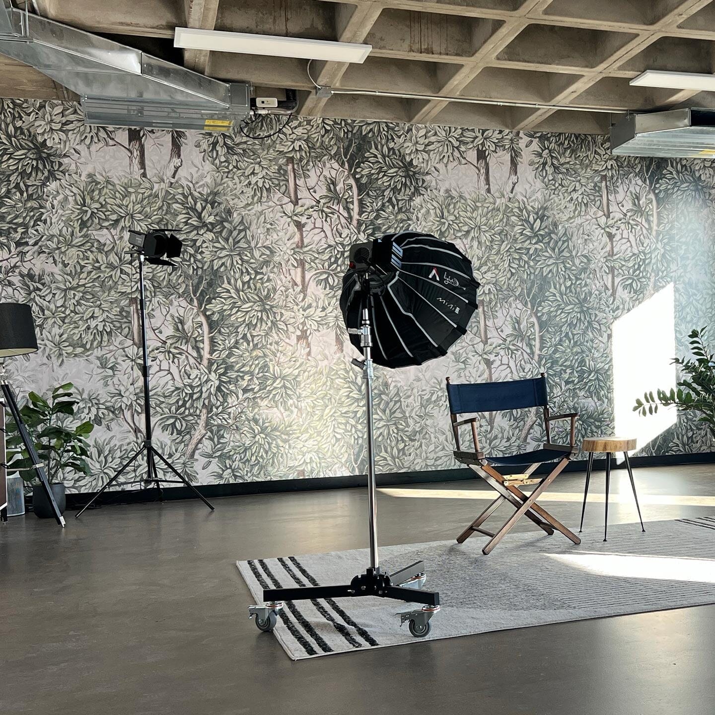 Green Forest Wall Mural