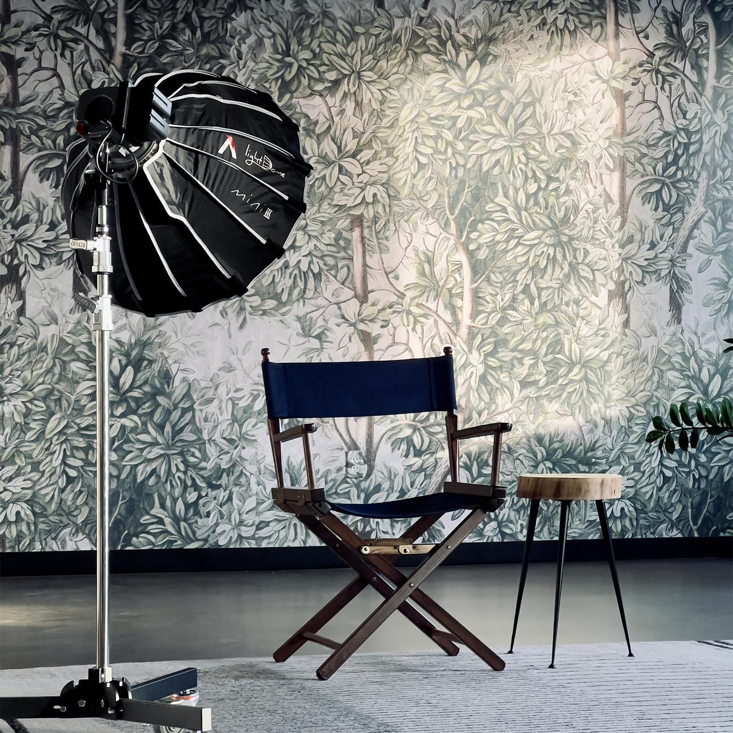 Green Forest Wall Mural