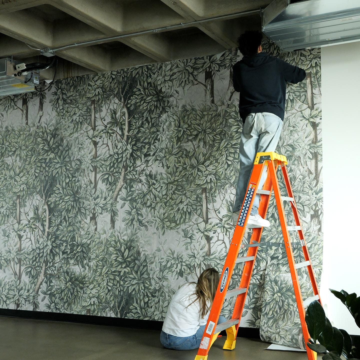 Green Forest Wall Mural