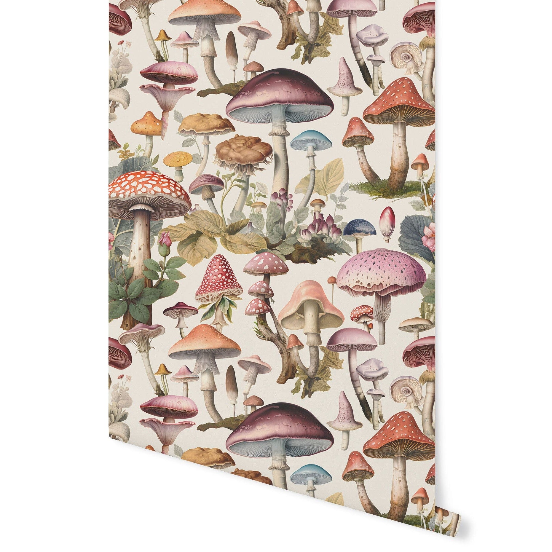 Mushroom Wallpaper | Urbanwalls – Urbanwalls Inc.