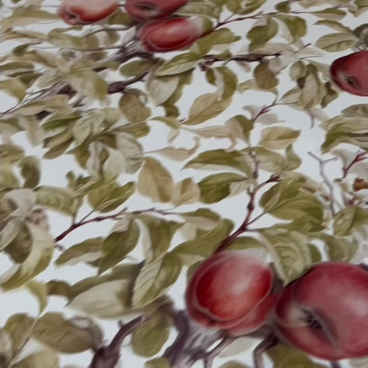 Load video: Apple Orchard Wallpaper