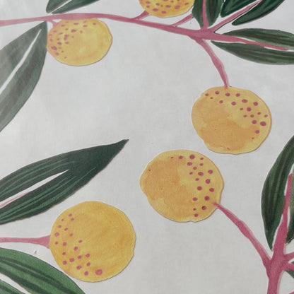 Tangerines in Greens Wall Decals