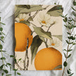 Tangerine Wallpaper