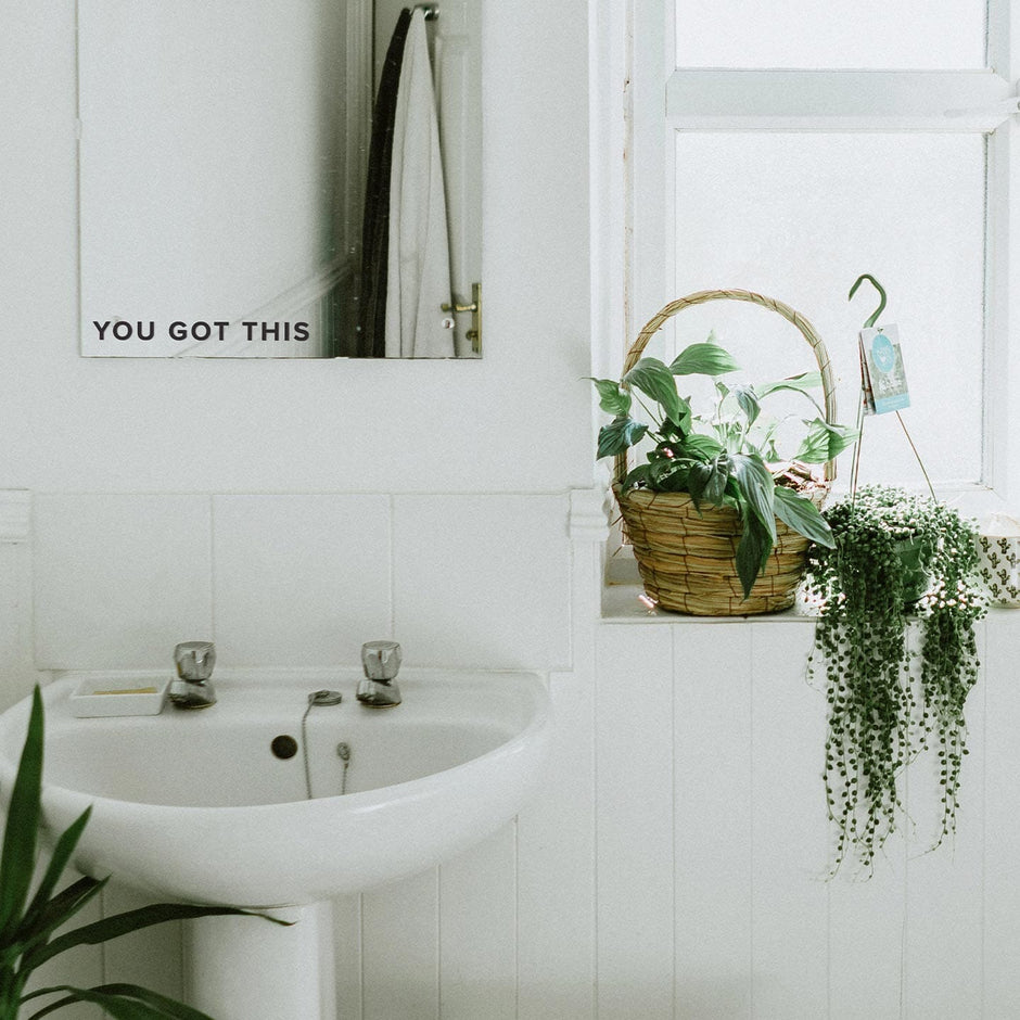 Bathroom Wall Decals, Wallpaper & More – Urbanwalls
