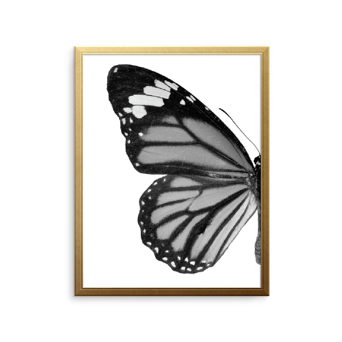 Butterfly left Art Print, Summer Collection Art Print