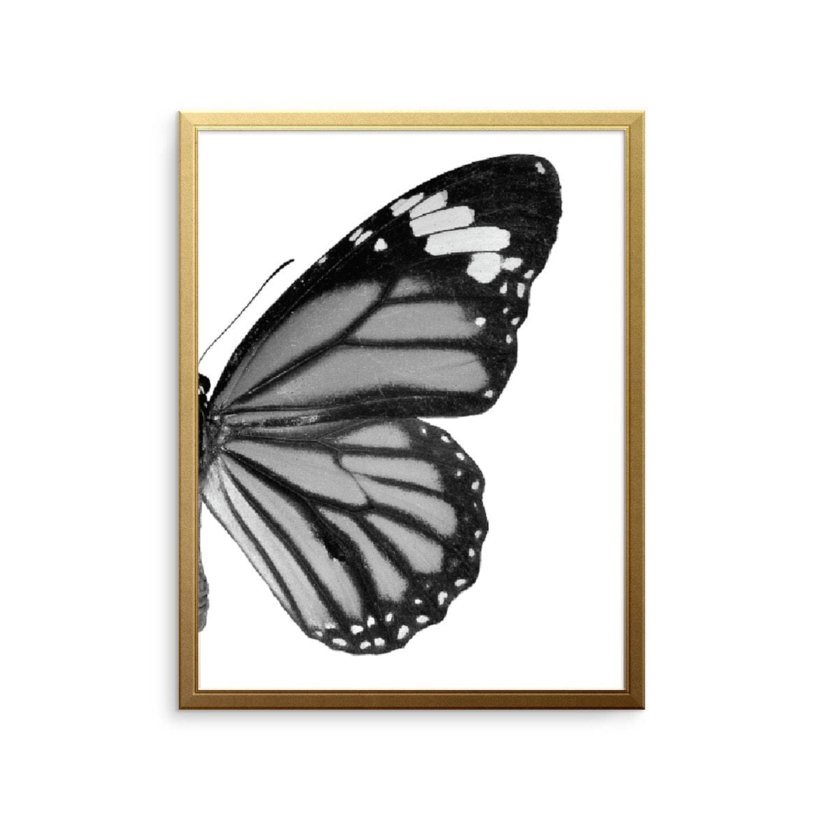 Butterfly Right Art Print | Summer Collection Art Print | UrbanWalls ...