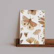 Butterfly Wallpaper