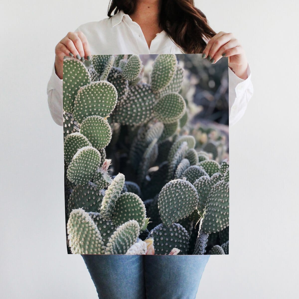 cali-cactus-art-print_photography-art-print