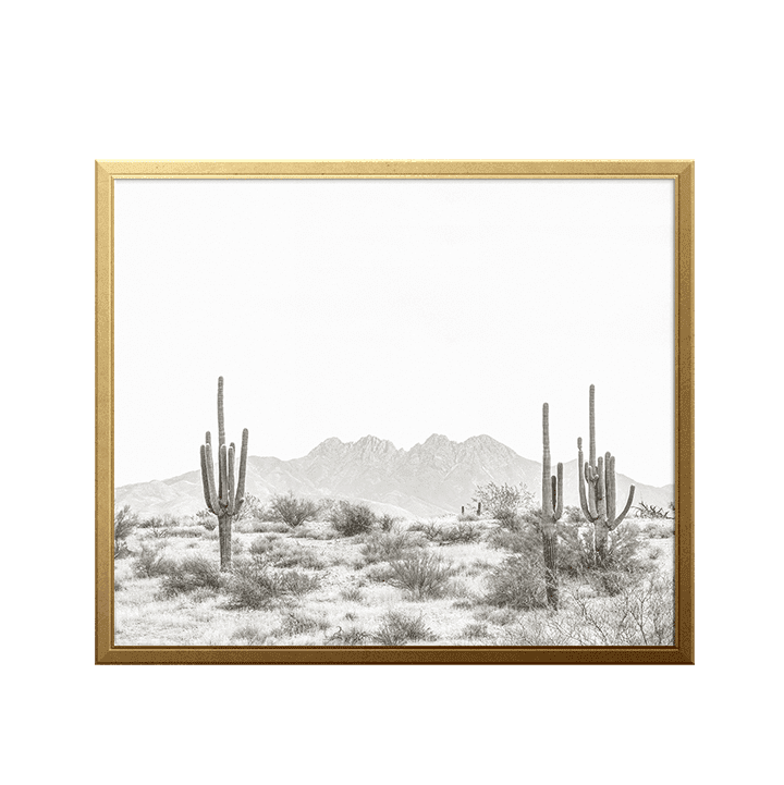desert-landscape-art-print_photography-art-print