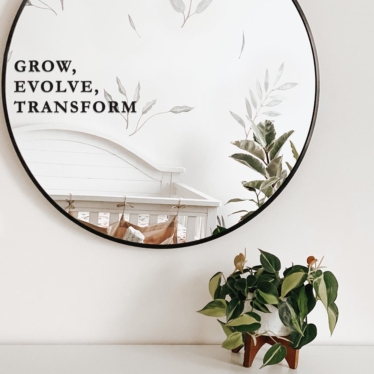 grow-evolve-transform-mirror-decal_mirror-decals