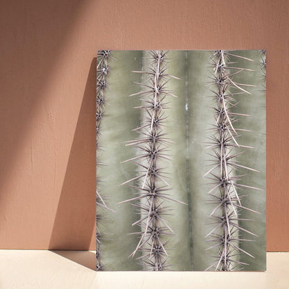 saguaro-spines-art-print_photography-art-print