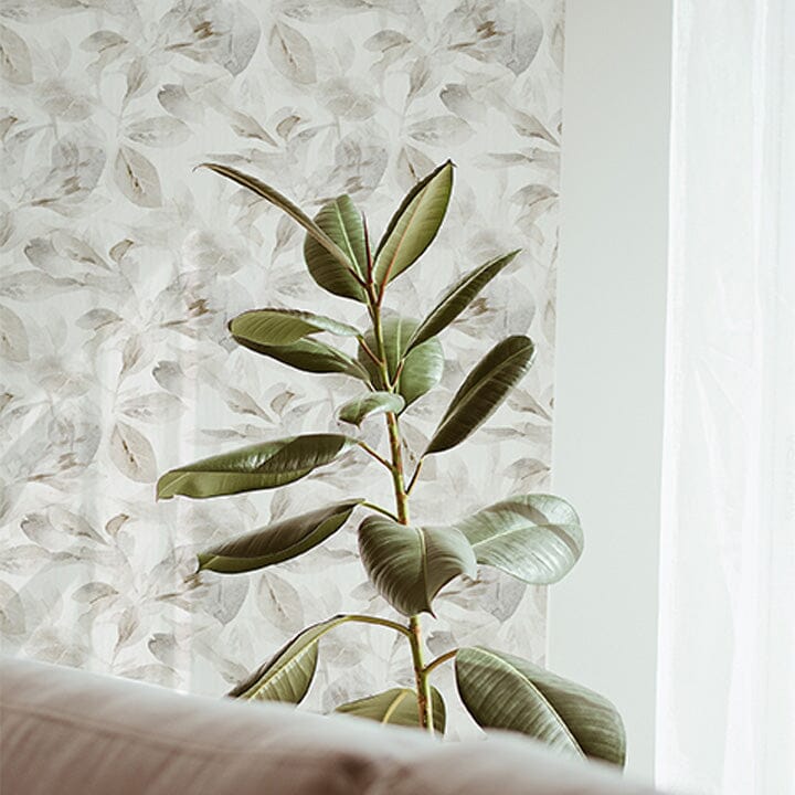 silver-ficus-peel-and-stick-wallpaper_nature