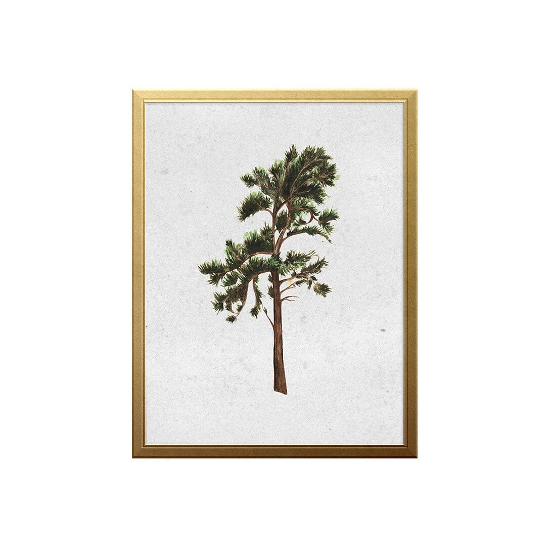 west-coast-pine-art-print_art-print